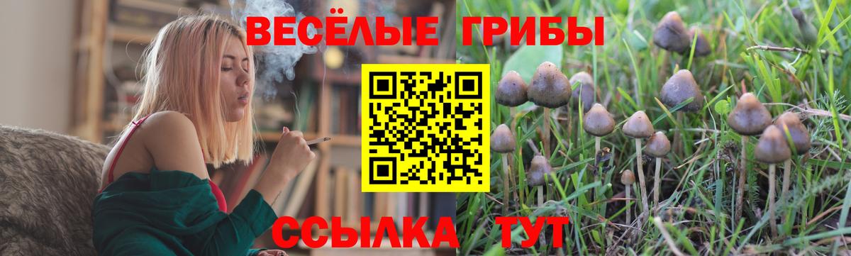 Галлюциногенные грибы мицелий  Вход с VPN  Новотроицк  Галлюциногенные грибы Cubensis 